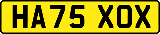 HA75XOX