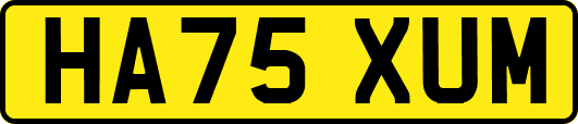 HA75XUM