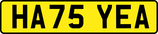 HA75YEA