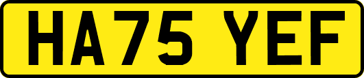 HA75YEF