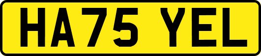 HA75YEL
