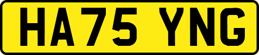 HA75YNG