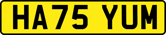 HA75YUM