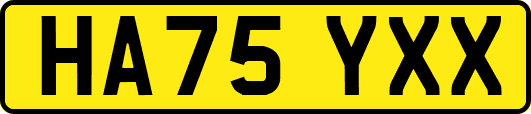 HA75YXX
