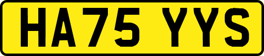 HA75YYS