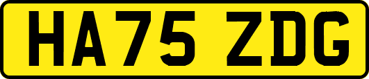 HA75ZDG