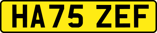 HA75ZEF