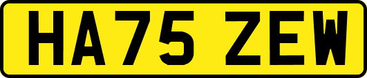 HA75ZEW