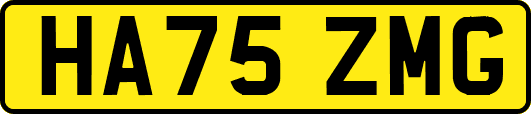 HA75ZMG