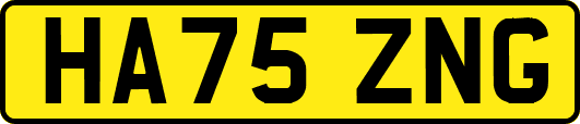 HA75ZNG