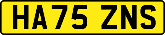 HA75ZNS