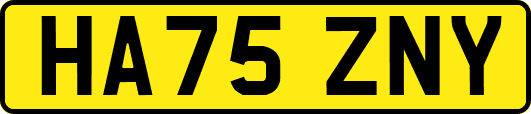 HA75ZNY