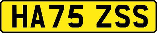 HA75ZSS