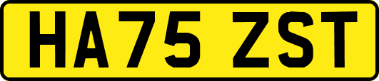 HA75ZST