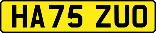 HA75ZUO