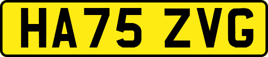 HA75ZVG