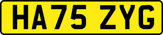 HA75ZYG
