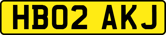 HB02AKJ