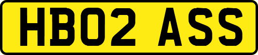 HB02ASS