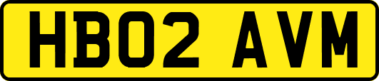HB02AVM