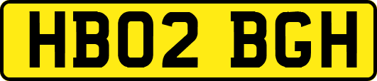 HB02BGH