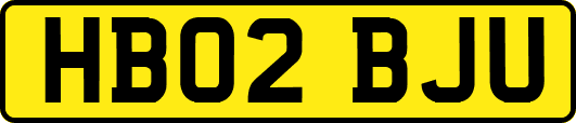 HB02BJU