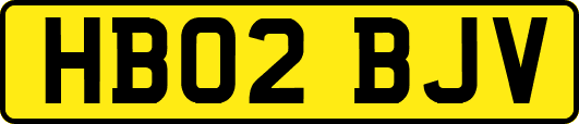 HB02BJV
