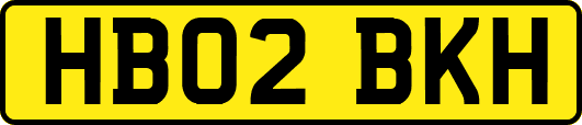 HB02BKH