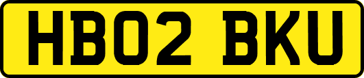 HB02BKU