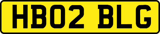 HB02BLG