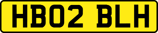 HB02BLH