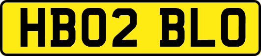 HB02BLO