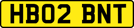 HB02BNT