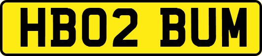 HB02BUM