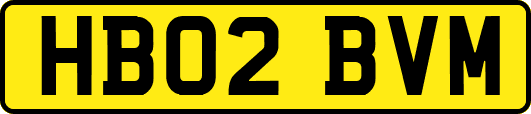 HB02BVM