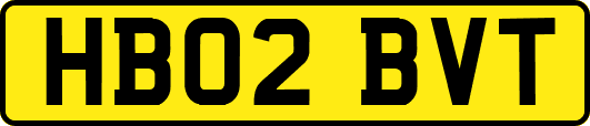 HB02BVT