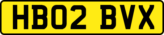 HB02BVX