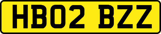 HB02BZZ
