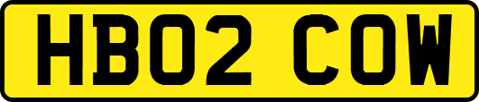 HB02COW