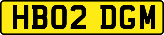 HB02DGM