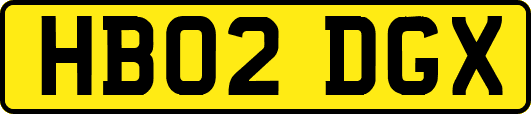 HB02DGX
