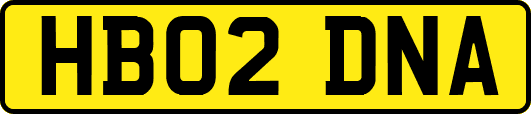 HB02DNA