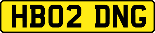 HB02DNG