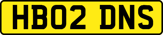 HB02DNS