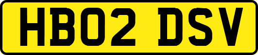 HB02DSV
