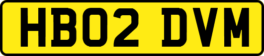 HB02DVM