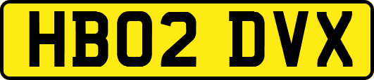 HB02DVX