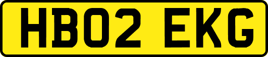 HB02EKG