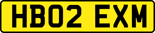 HB02EXM