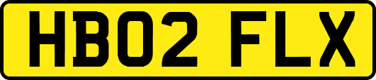 HB02FLX